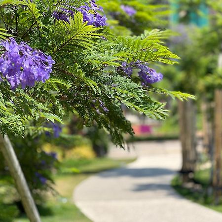 ゲストハウスあさひ 熱海市 エクステリア 写真